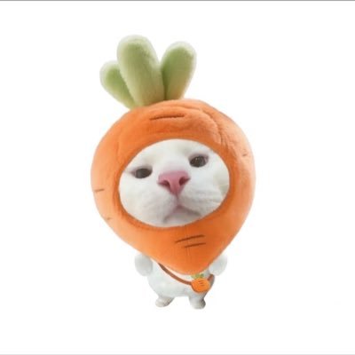 littlecarrotvvv's profile picture
