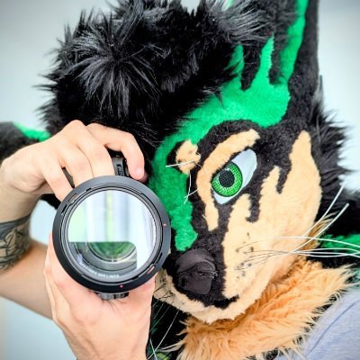 KilobyteFox's profile picture