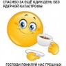 Булка с кардамоном 的头像