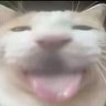 Profilbild von LDK123