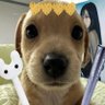 Profilbild von 𝚜𝚝𝚞𝚙𝚒𝚍 𝚌𝚑𝚎𝚎𝚜𝚎 𝚙𝚞𝚙𝚙𝚢🧀