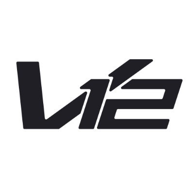 v12sec's profile picture