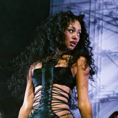 sop | “hey bitch”'s profile picture