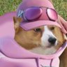 vxrx's profile picture