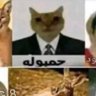 Фото профиля Fan مدريدي