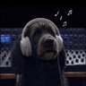 Фото профиля Sounds Rich 🎸🎙️