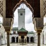الناس الاليبة profil fotoğrafı