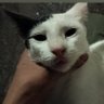 Profilbild von Kitty Party