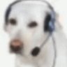 Profilbild von Moço do Boleto 🧾