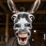 Matuko Weye's profile picture