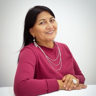 Elisa Loncon Antileo's profile picture