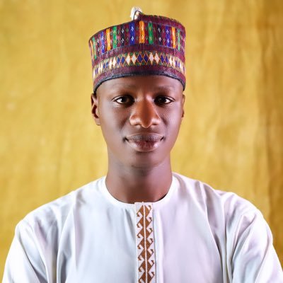 Dan Amanar Kwankwasiyya🔴𝕏's profile picture