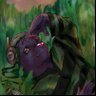 Thomas's profile picture