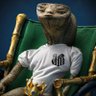 Etezinho de Acapulco's profile picture