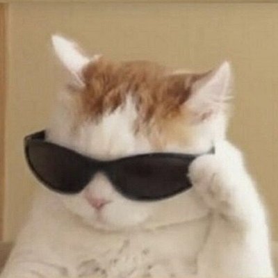 juli's profile picture