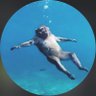 🦦's profile picture