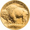 Great Gold Buffalo's profile picture