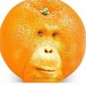 Dr. Wizzle PHD's profile picture