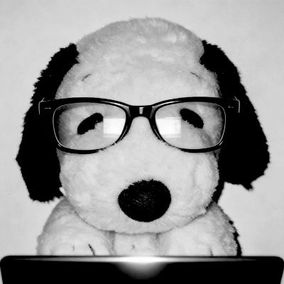 snoopyhero53's profile picture
