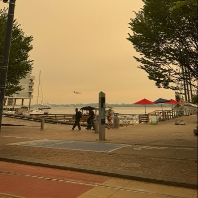 ke_willl's profile picture