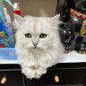 Фото профиля はる