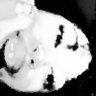 Profilbild von ravyn