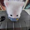 The Unseen Diary Of A Doll🐈⬛'s profile picture