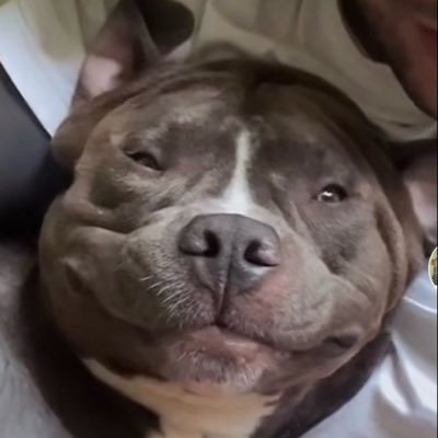 ugh's profile picture