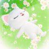 Angelica111🌼🤍✨☁️☀️'s profile picture