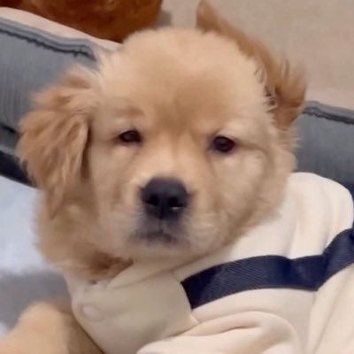 skittyp (ติ้กฟ้า)'s profile picture