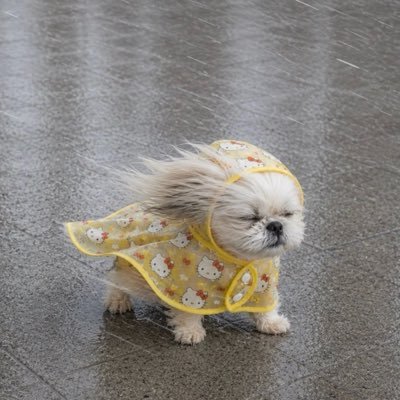 ณช.'s profile picture