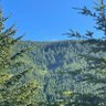 Roan profil fotoğrafı