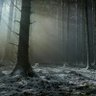 Фото профиля TGH