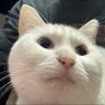 ten@次に向けて！？'s profile picture
