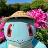ゼニガメ🌾💙's profile picture