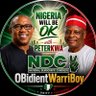 OBIdientWarriBoy🇳🇬🇱🇷's profile picture