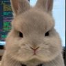 Rxnny's profile picture