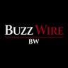 Фото профиля BUZZ WIRE
