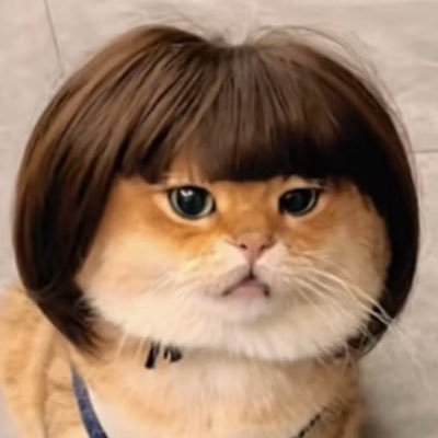 🌞✩Pupae✩🌞's profile picture