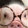 Profilbild von ggg