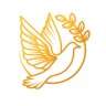 Donabico Media 的头像