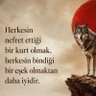 UNİTED STATES OF TURAN🇹🇷🇦🇿🐺 的头像
