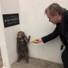 hector profil fotoğrafı