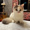 lucky profil fotoğrafı