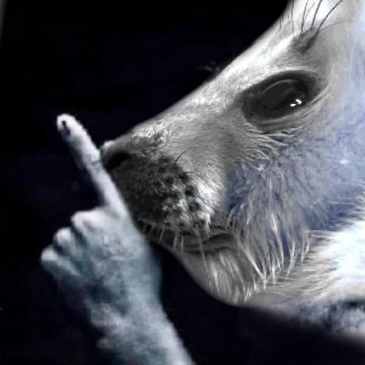 marustonks's profile picture