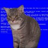 0xC0FFEE profil fotoğrafı