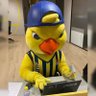 Profilbild von Karşıyakalı kanarya