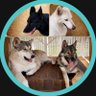 ヒラケン🐶サキ・ナナ・ムギ・イブキ profil fotoğrafı