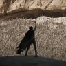 SRidHar 🦅 profil fotoğrafı