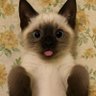 Ebelim profil fotoğrafı